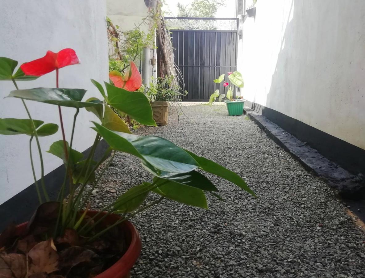 Hotel New Coral Garden Weligama Extérieur photo